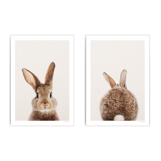 Peter Rabbit Set 2 prints