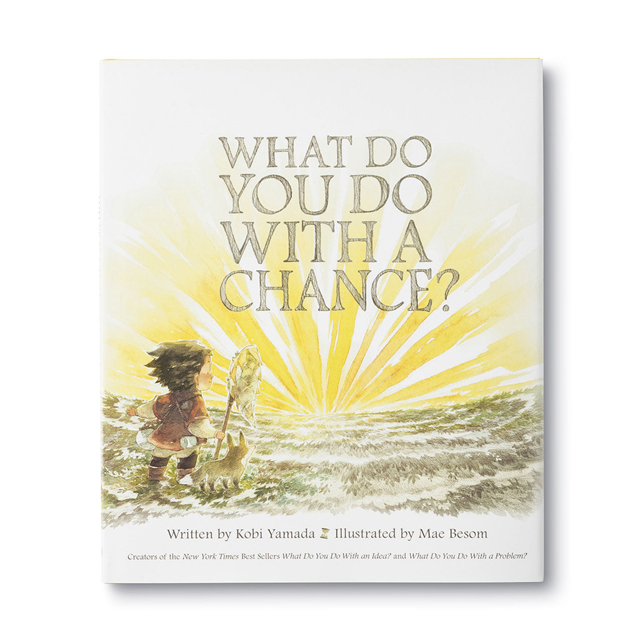 What do you do with a chance? - Compendium