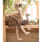 Nana Huchy - Eddie the Emu